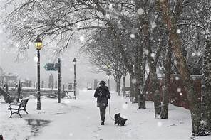 Cold weather metabolism